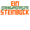 Steinbock Galaxy Statement Tierkreiszeichen Himmel