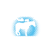 Riding - Arabian Horse