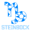 Tierkreiszeichen Spruch Steinbock Astronomie