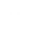 Crâne en Mandala