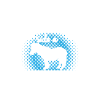 Équitation - Shetland Pony Horse