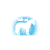 Équitation - Appaloosa -Cheval
