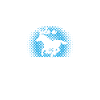 Équitation - Cheval mongol