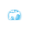 Équitation - Quarter Horse