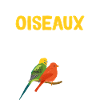 J'aime Les Oiseaux Ok ?