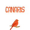 J'Aimes Les Canaris Ok ?