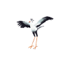 Funny Secretary Bird T-Shirt