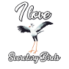 I love secretary birds