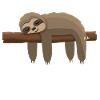 Sloth