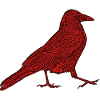 red crow running
