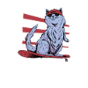 Skater Chat