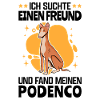 Podenco gefunden spanischer Windhund Podenco