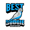 Budgerigar