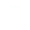 Pilot Captain Saying Airplane Fly