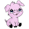 Schwein