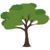 Boomplant Illustratie Tekening Cadeau Idee