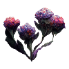 Renaissance florale