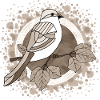 Oiseau