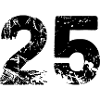 25 number jersey