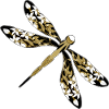 Libellule