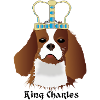 Chevalier King Charles