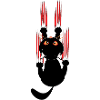 Chat noir enervé