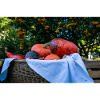Pumpkin Basket