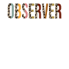 Observer