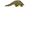 Schuppentier Pangolin Schuppen bedrohtes Tier