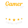 Gamer made in 2013
