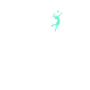Volleyball Mom