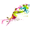 colobri