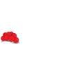 Freiburg Fan Edition