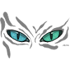 Night Cat Eyes Teal View