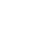 California Nature Bear