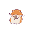 Funny Hamster Gift