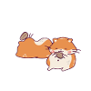 Funny Hamster Gift