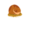 Funny Hamster Gift