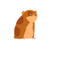 Funny Hamster Gift