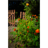 Chalet Jardin