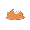 Lustiges Hamster Geschenk