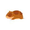 Lustiges Hamster Geschenk
