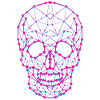 Crâne polygonal