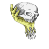 Skelett Totenkopf Schwarz