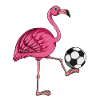 Fussballtrainer Fussballspieler Flamingo Fussball