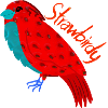 Bird and Strawberry. Strawbirds