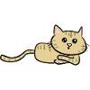 chat couché curieux animal doux