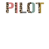 Pilot