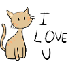 braune Katze ich liebe dich
