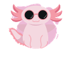 Axolotl Amphibien Drôle Coolalotl